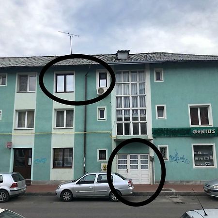 Vintage Apartment Suceava Esterno foto